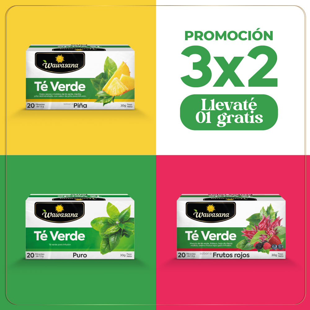 Pack 3 x 2 Té Verde