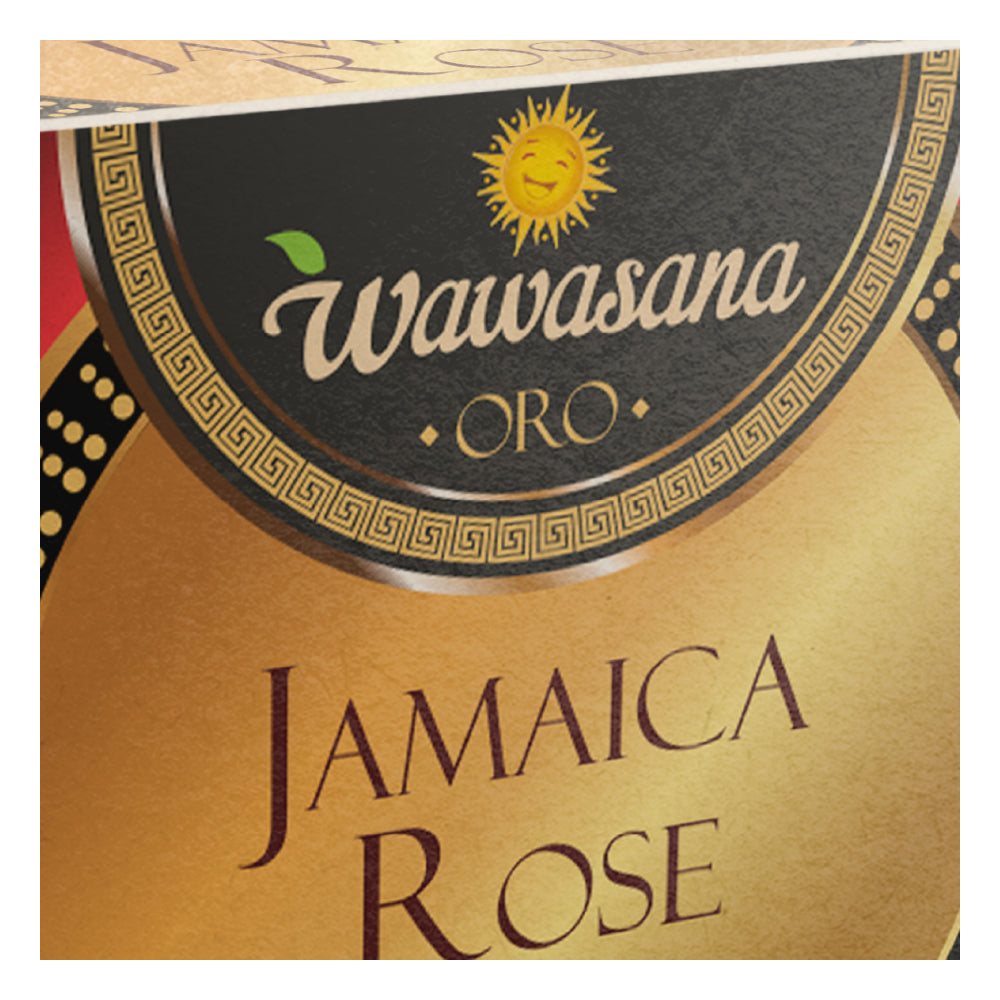 Jamaica Rose