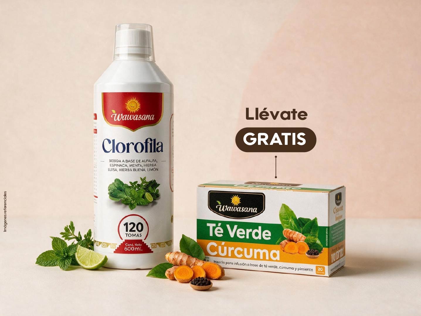 Clorofila