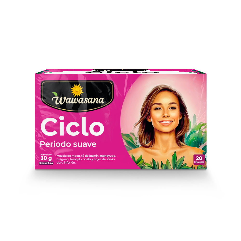 Ciclo